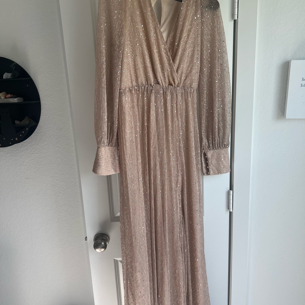 Baltic Born Long Sleeve Sequin Dress in Champagne